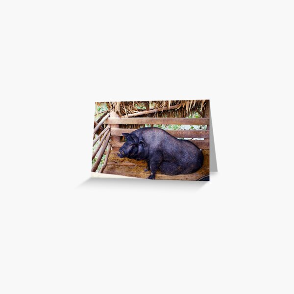 Laos Pig Greeting Card