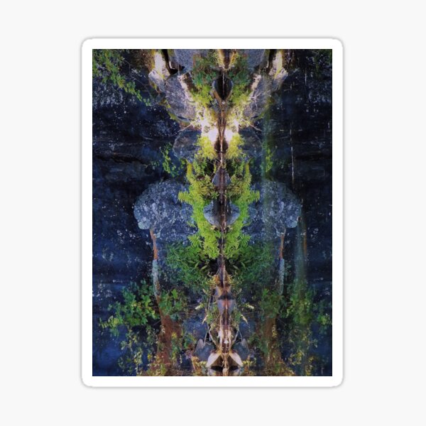 Nature's Fractal 5: Northwest Bay Brook, New York Sticker