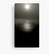 island above Canvas Print