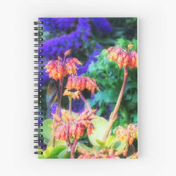 Item preview, A Feast of Colours designed and sold by Cassie Kitching.