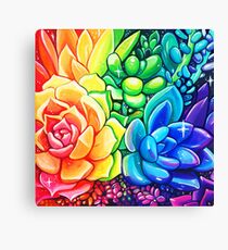 Rainbow Succulents - Acrylic Painting Canvas Print