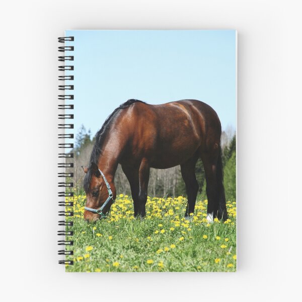 Item preview, 24.5.2015: Pony on Pasture designed and sold by Petri Volanen.