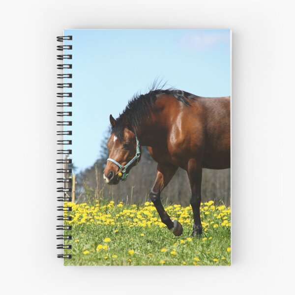 Item preview, 24.5.2015: Pony on Pasture II designed and sold by Petri Volanen.
