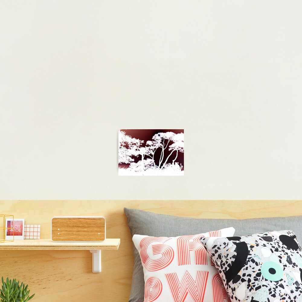 Item preview, Photographic Print designed and sold by pdecocco.