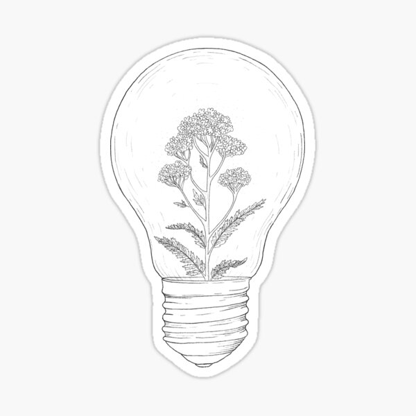 Cute Green and Black and White Plant Drawing - Plant Drawing - Sticker