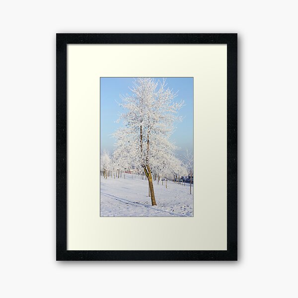 Item preview, The whitest tree designed and sold by Agnes McGuinness.