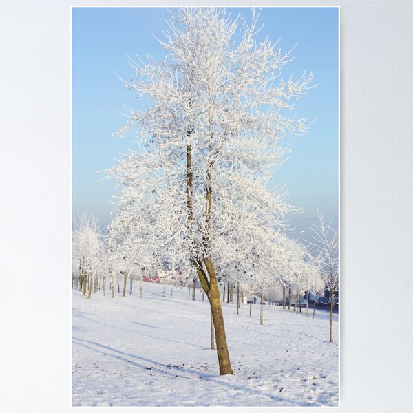 Item preview, The whitest tree designed and sold by Agnes McGuinness.