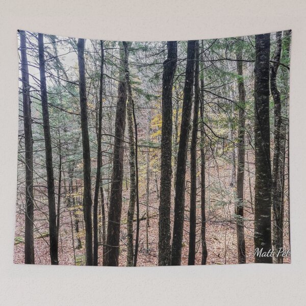 Item preview, trees in the fall designed and sold by mattpetrey.