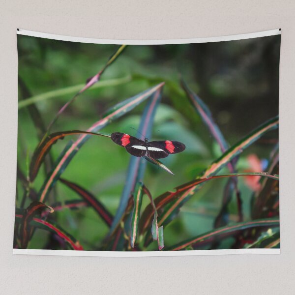 Item preview, Uvita Butterfly Garden designed and sold by darren-j-mcleod.