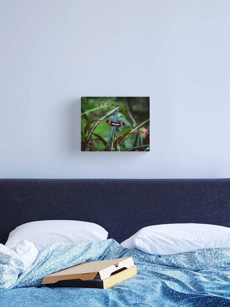 Thumbnail 2 of 3, Canvas Print, Uvita Butterfly Garden designed and sold by darren-j-mcleod.