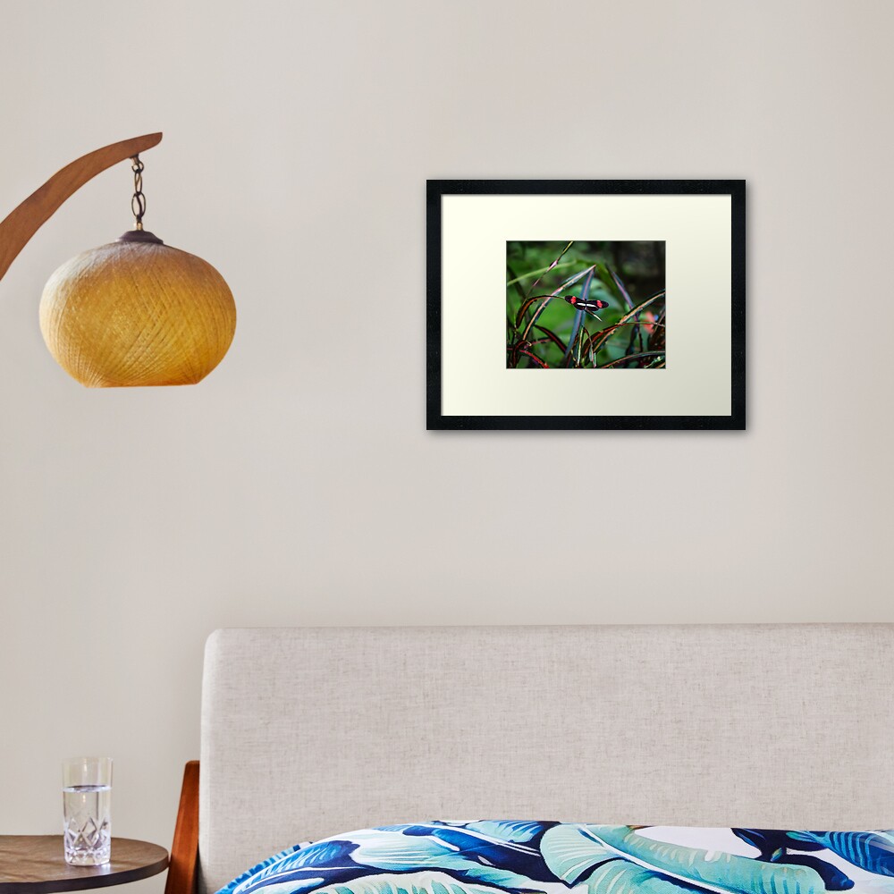 Item preview, Framed Art Print designed and sold by darren-j-mcleod.