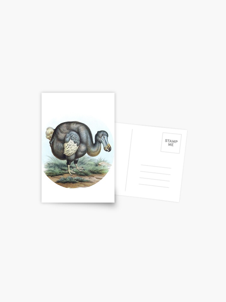 Carte Postale Oiseau Dodo Vintage Par 47countries Redbubble