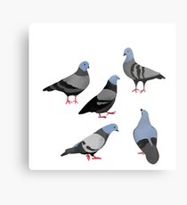 Day 33 of 365 Days of Design Metal Print