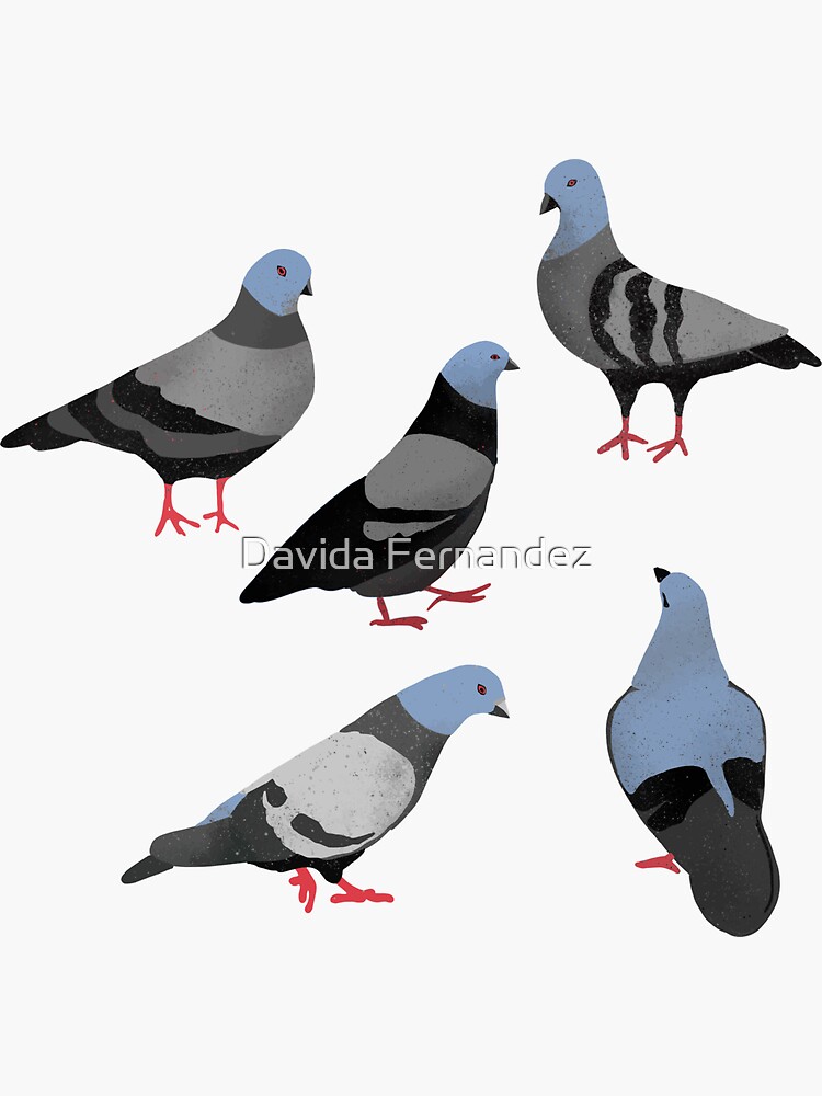 Design 33 - The Pigeons by divafern