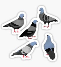 Day 33 of 365 Days of Design Sticker