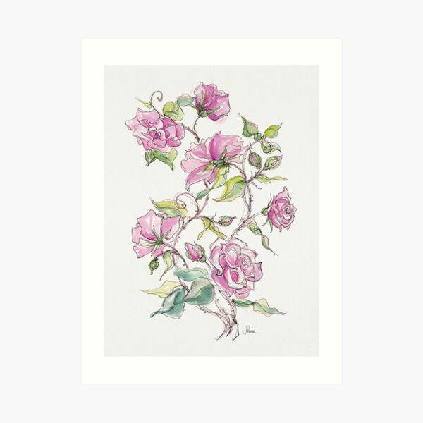 Pink Climbing Rose Art Print