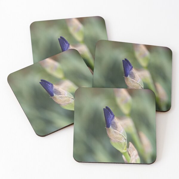 Item preview, Budding Iris Blue designed and sold by Joy Watson - Natural Light Photography .