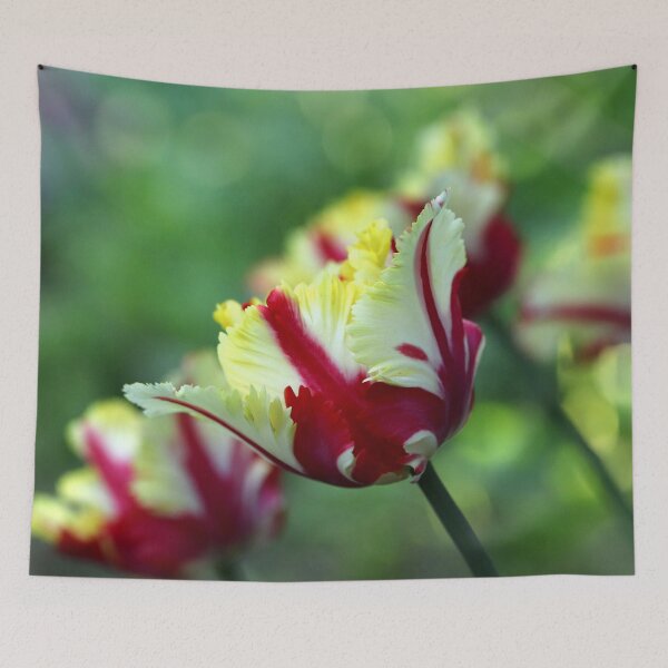 Item preview, Flamboyant designed and sold by cuprum.