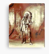 Amerikanisches Hauptpferd, Sioux Oglala Lakotaca 1899 Metallbild