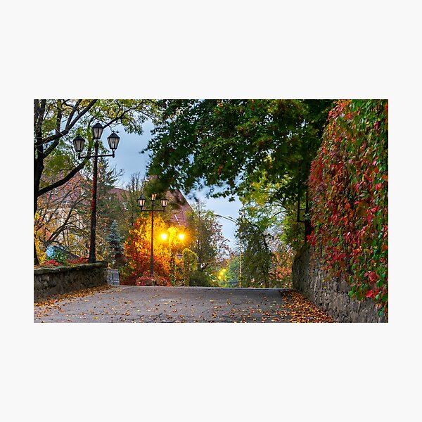streets of old city at dawn Photographic Print
