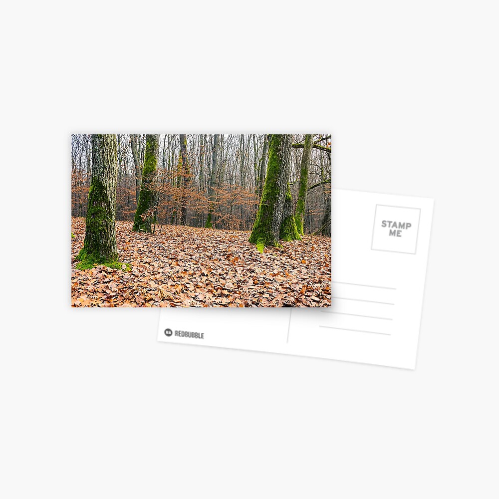 Item preview, Postcard designed and sold by mike-pellinni.