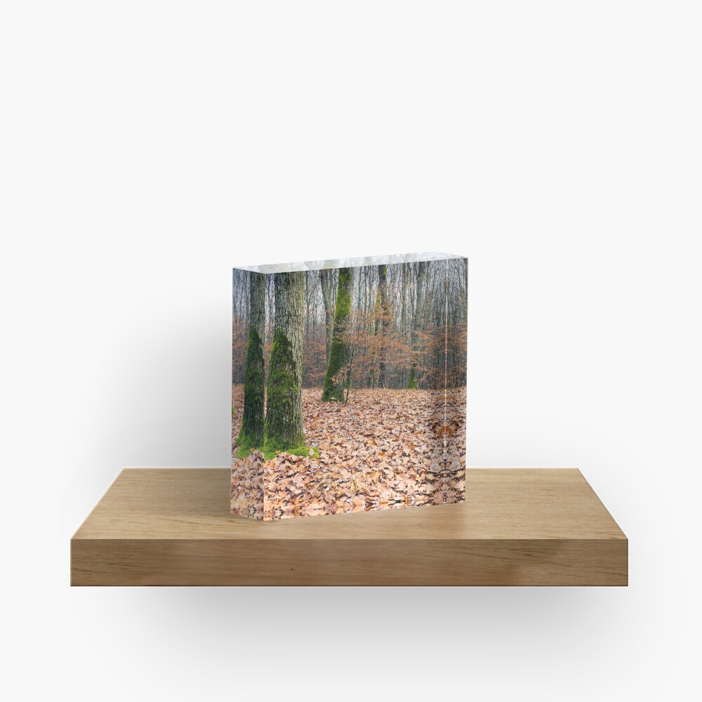 Item preview, Acrylic Block designed and sold by mike-pellinni.