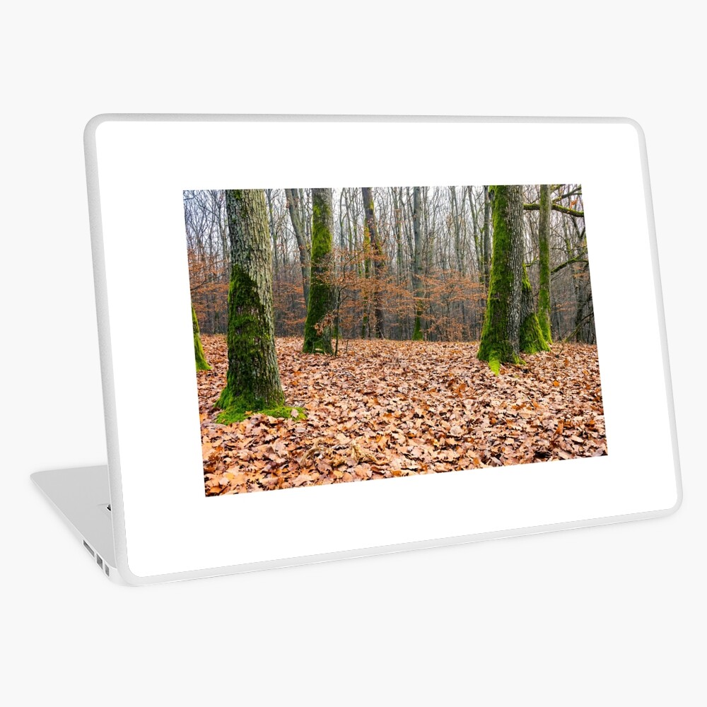 Item preview, Laptop Skin designed and sold by mike-pellinni.