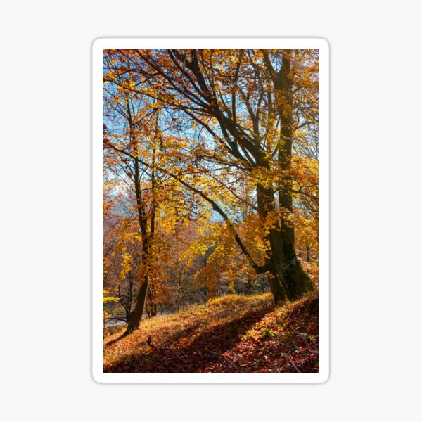 autumn spirits in the woods Sticker
