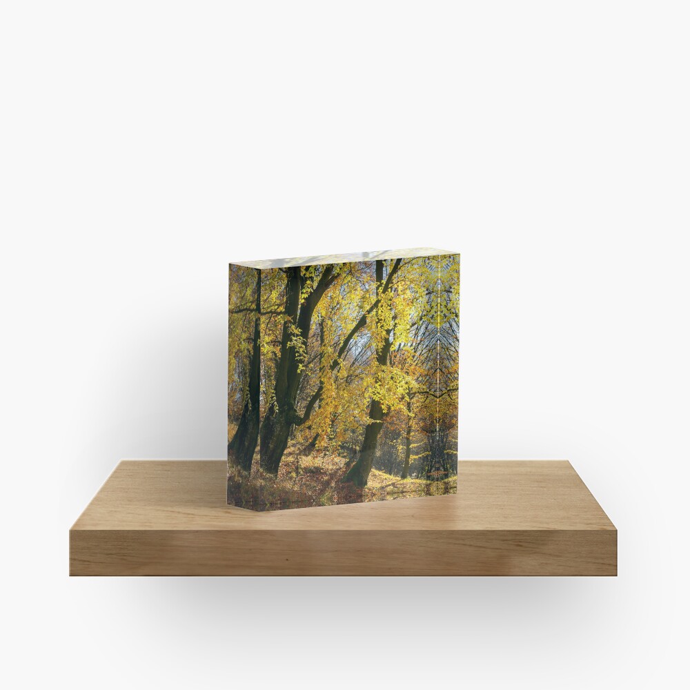 Item preview, Acrylic Block designed and sold by mike-pellinni.