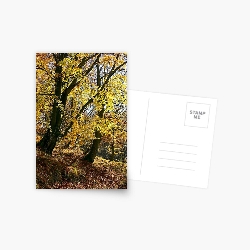 Item preview, Postcard designed and sold by mike-pellinni.