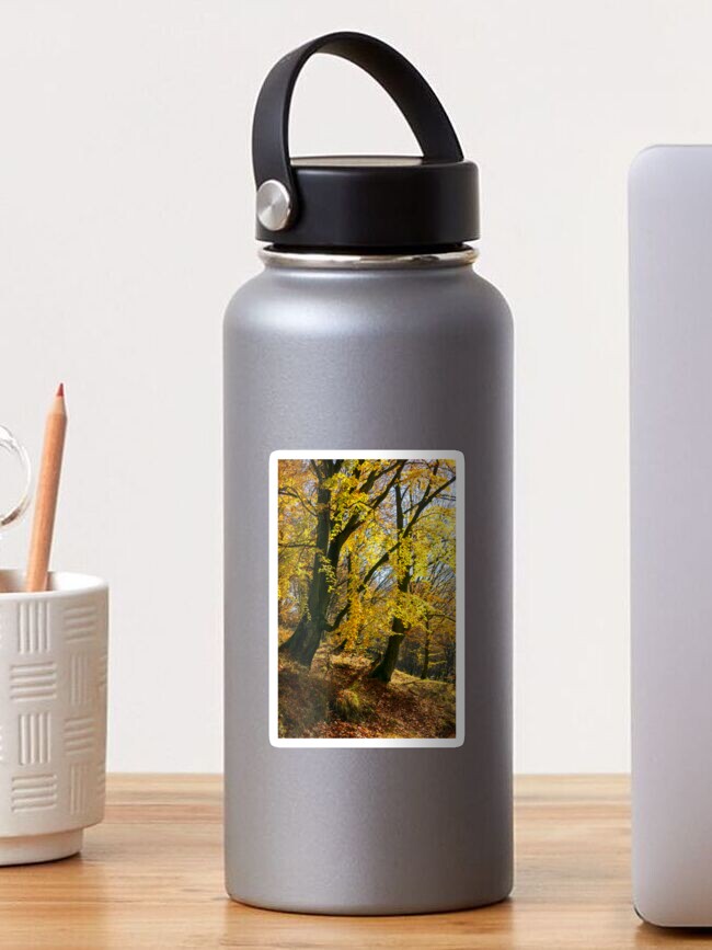 Thumbnail 1 of 3, Sticker, golden foliage in the forest designed and sold by mike-pellinni.
