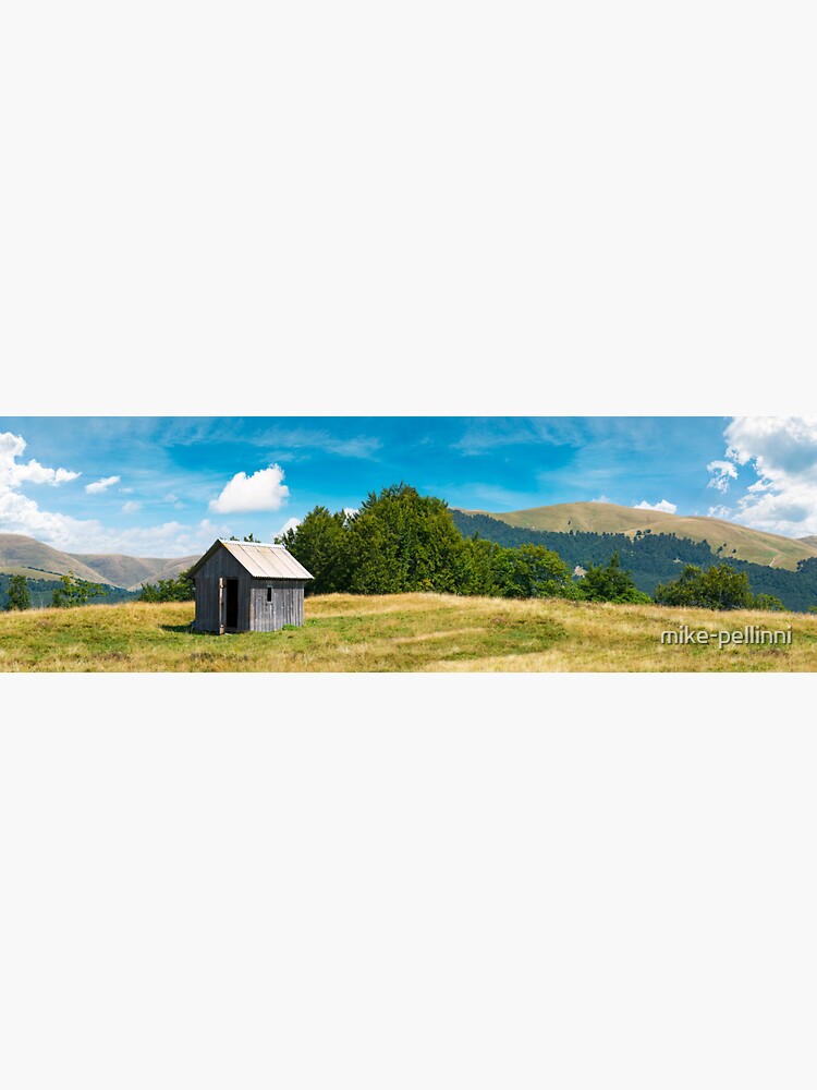wooden hut on a grassy meadow by mike-pellinni