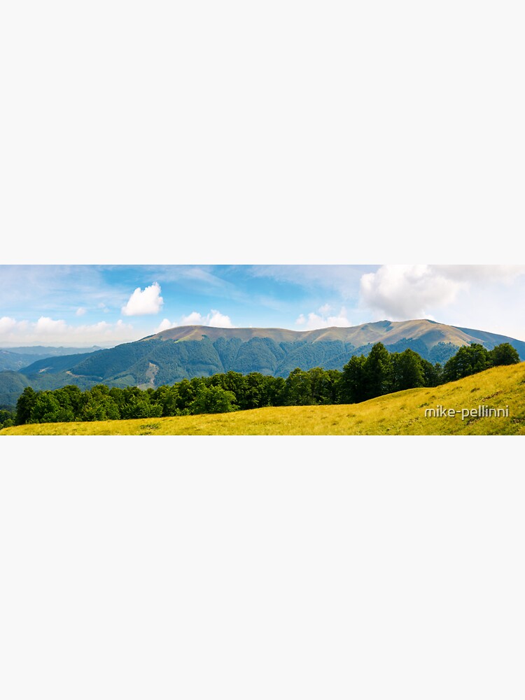 panoramic scene of a summer landscape by mike-pellinni