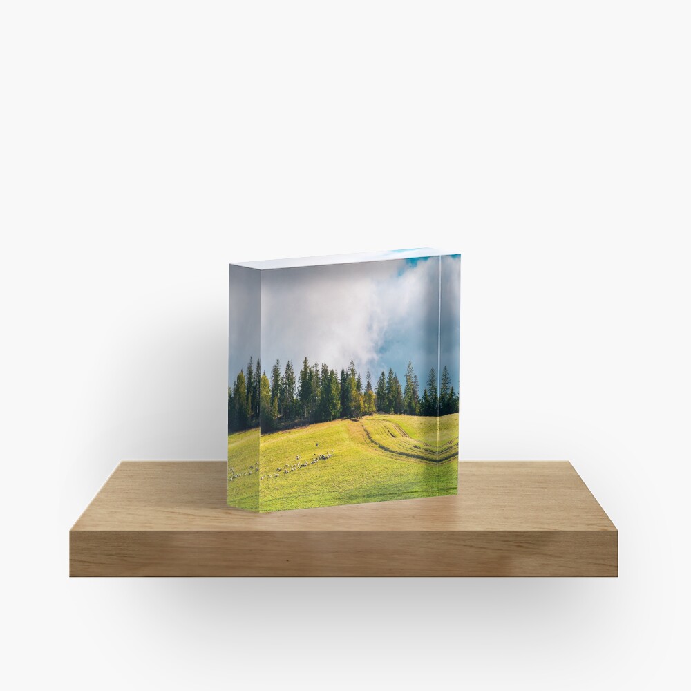 Item preview, Acrylic Block designed and sold by mike-pellinni.