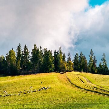 Artwork thumbnail, country road in mountains by mike-pellinni