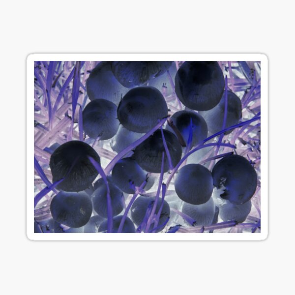 psychedelisch Sticker