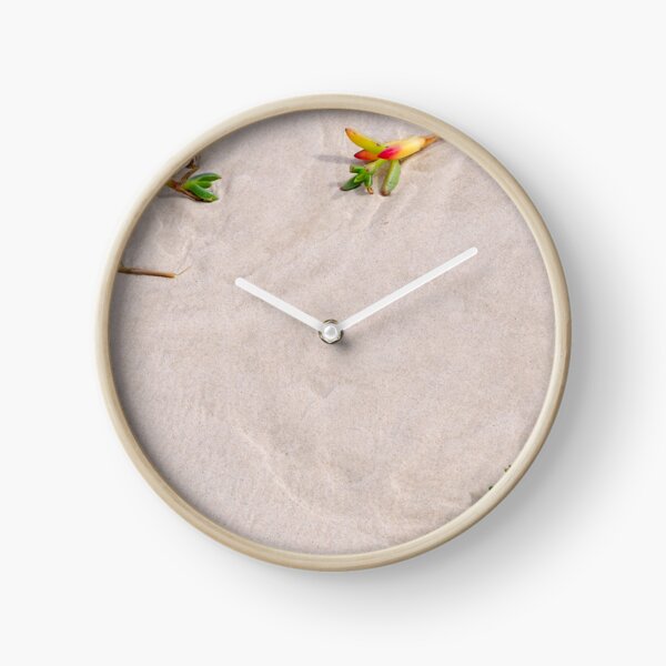 Pigface on beach sand Clock
