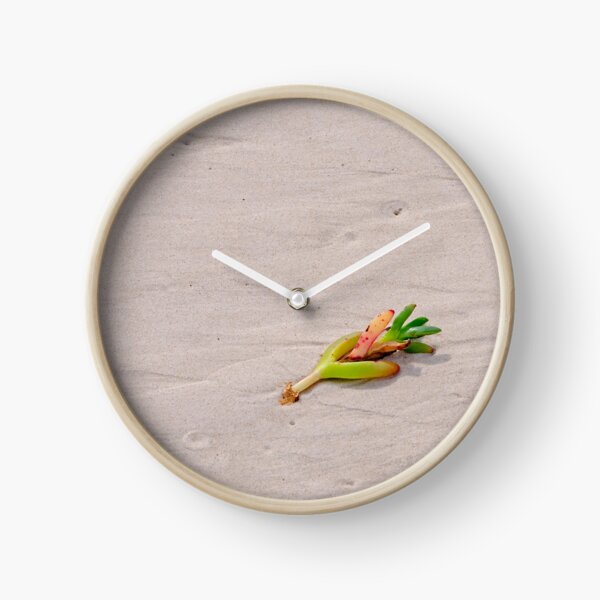 Pigface plant on beach sand #2 Clock