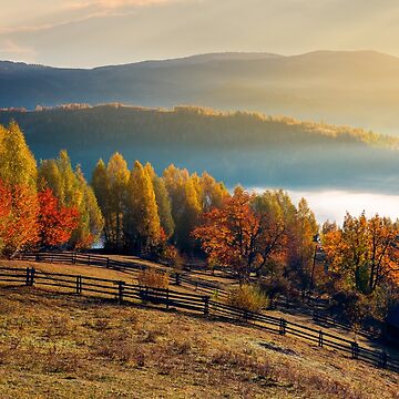 Artwork thumbnail, rural field and orchard in autumn at sunrise by mike-pellinni