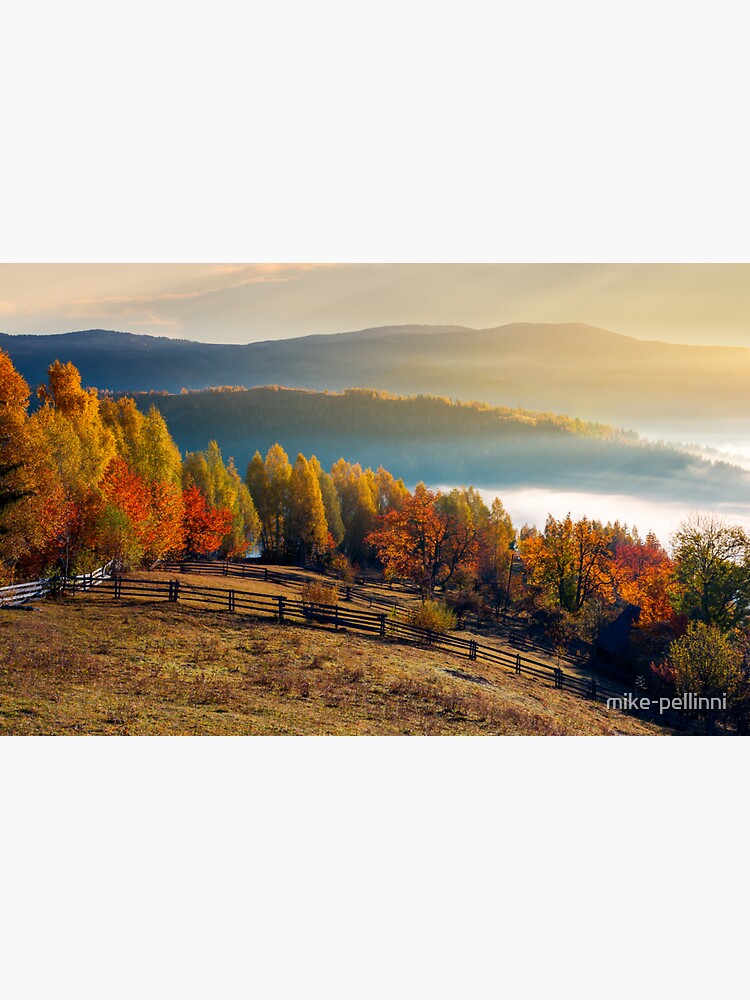 Thumbnail 3 of 3, Sticker, rural field and orchard in autumn at sunrise designed and sold by mike-pellinni.