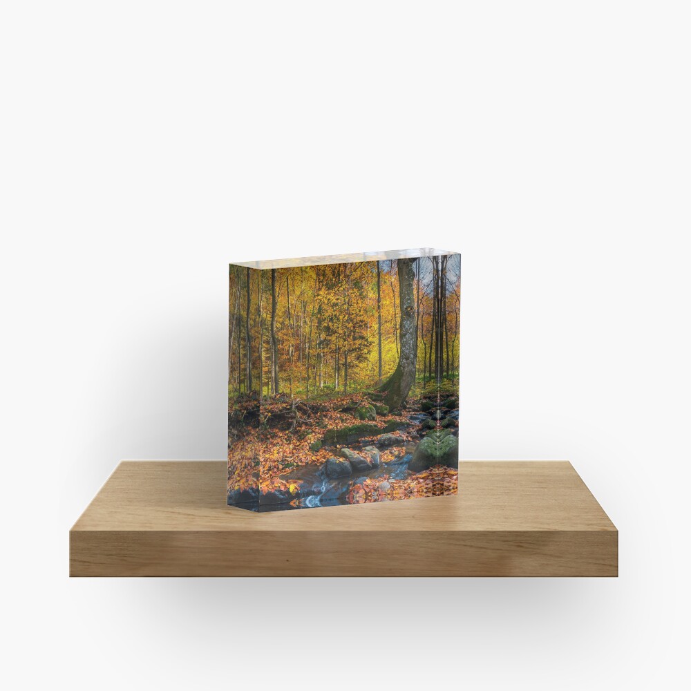 Item preview, Acrylic Block designed and sold by mike-pellinni.