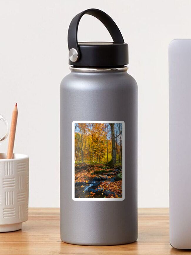 Thumbnail 1 of 3, Sticker, brook in autumn forest designed and sold by mike-pellinni.