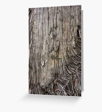 Kauri Wood Greeting Card