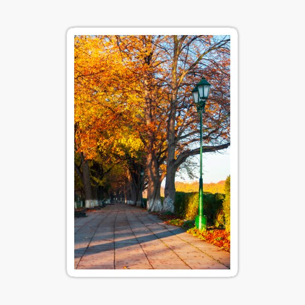 green city light on autumn embankment Sticker