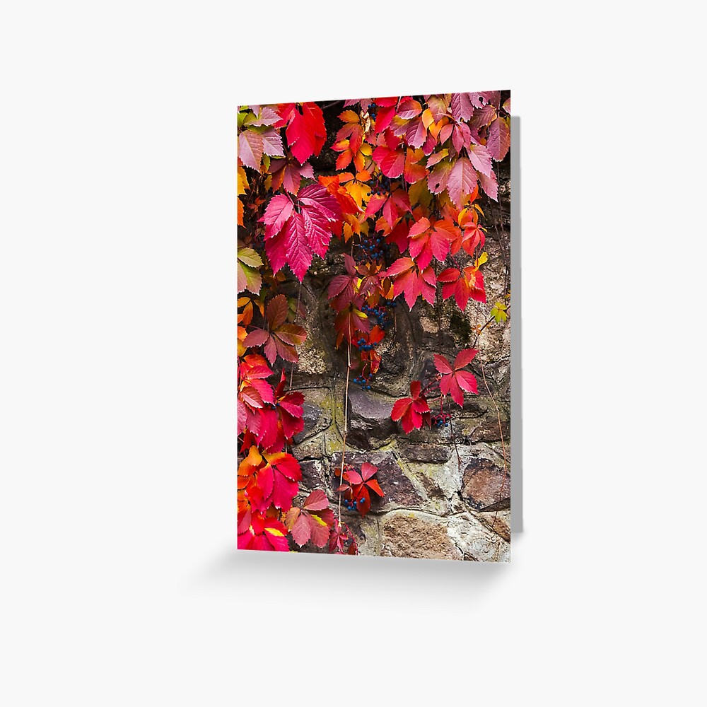 Item preview, Greeting Card designed and sold by mike-pellinni.