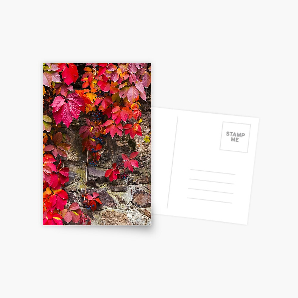 Item preview, Postcard designed and sold by mike-pellinni.