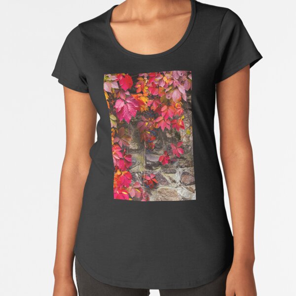 colorful texture of ivy plant on the stone wall Premium Scoop T-Shirt