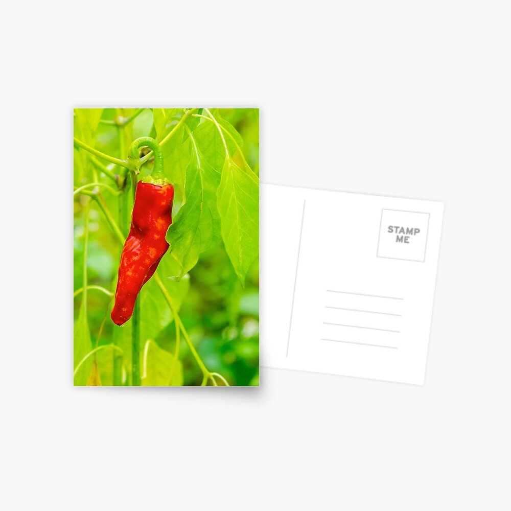 Item preview, Postcard designed and sold by mike-pellinni.