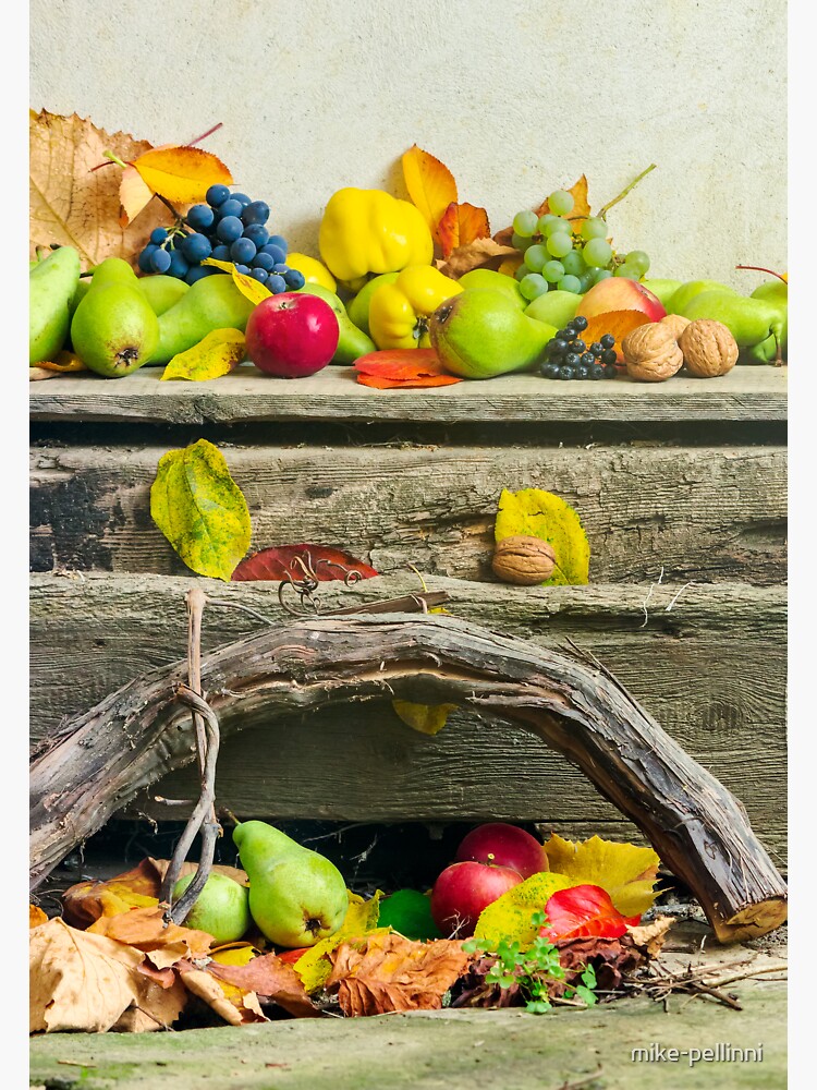 autumn still life with harvest in leaves by mike-pellinni