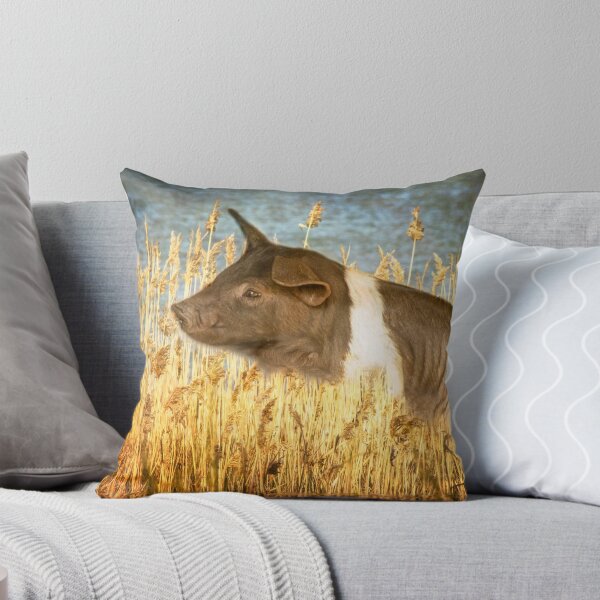 Item preview, Little Pig Little Pig designed and sold by Clare Colins.